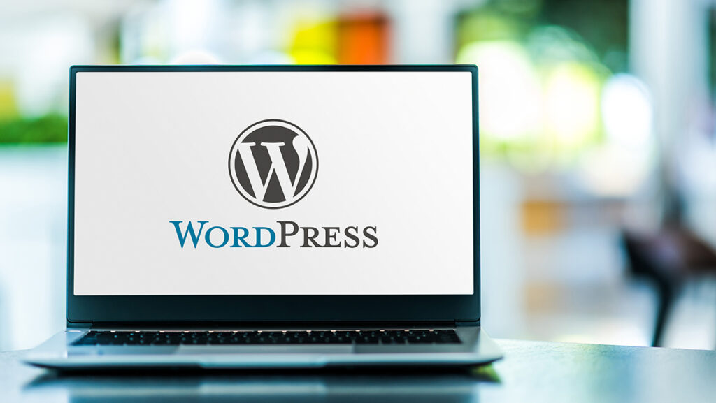WordPress 1024x577 - WordPress Kurulum ve Entegrasyon Hizmetleri