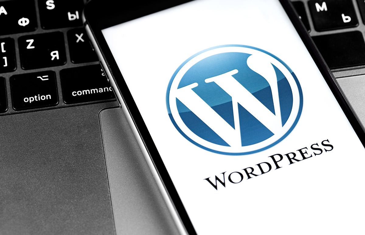 WordPress Kurulum Hizmeti, işletmelere veya bireysel kullanıcılara, hızlı ve güvenli bir şekilde WordPress web sitesi kurma ve başlatma imkanı sunan bir hizmettir. Bu hizmet, özel tema tasarımı ve içerik kurulumunu içerir ve kullanıcıların web sitesi oluşturma sürecini kolaylaştırır. Müşteriler, WordPress kurulumu ve yönetimi için gerekli teknik detayları uzmanlara bırakabilir ve kendi ihtiyaçlarına uygun web sitelerini oluşturabilirler.