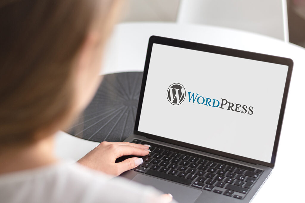 WordPress hizmetleri